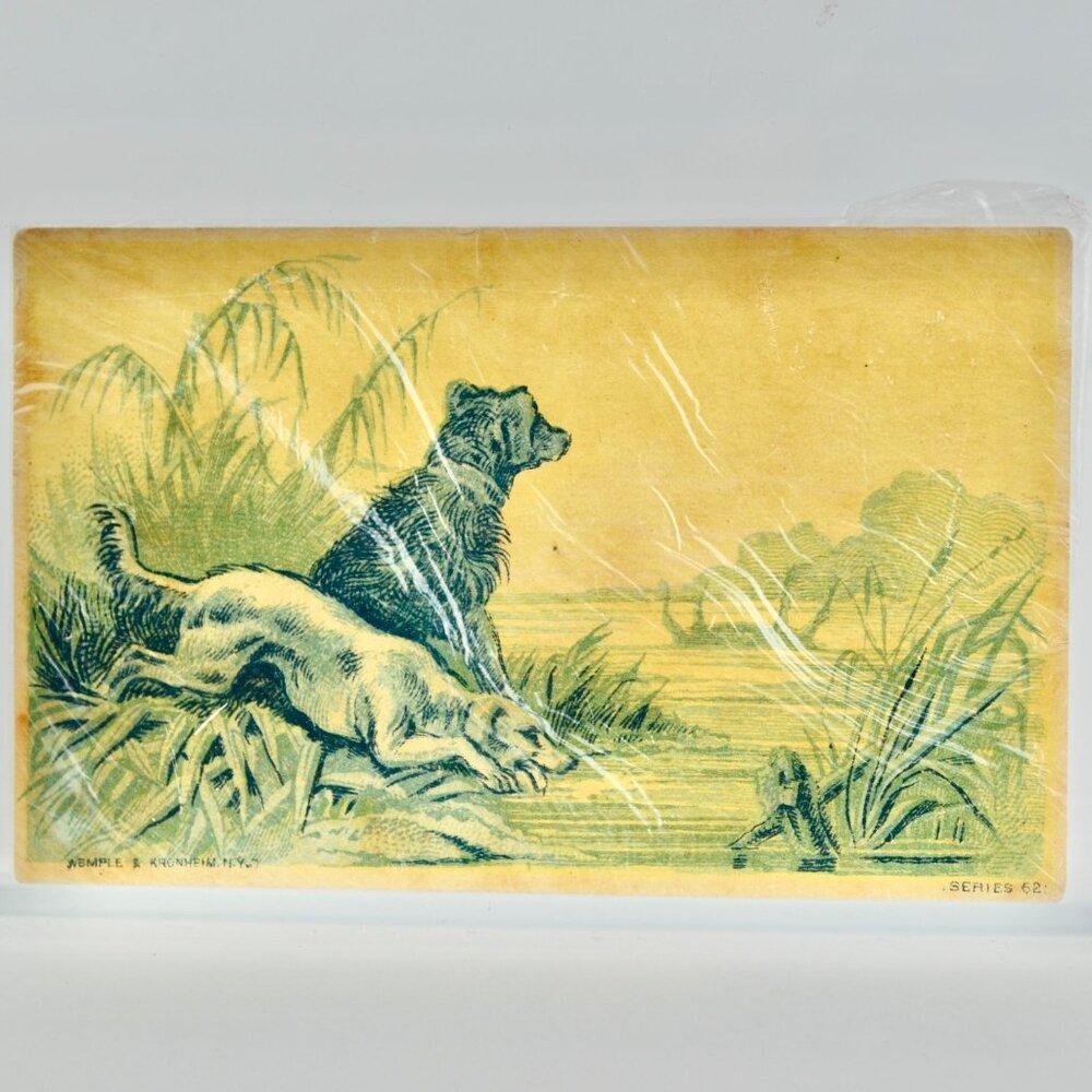 Wemple & Kronheim Antique Victorian Trade Card Dogs by Water